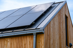 Bez nazwy (300 x 200 px)